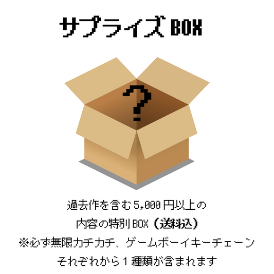 スペシャルサプライズBOX※送料込
